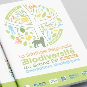 Couverture livret Stratégie Régionale Biodiversité 